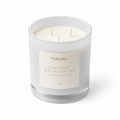 Vela Coconut & Eucalyptus 16 onz